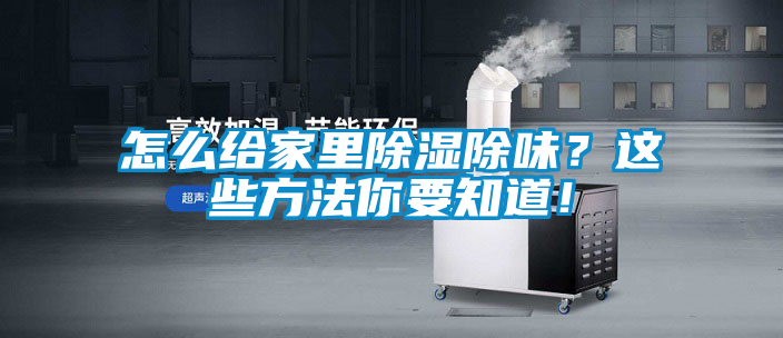 怎么給家里除濕除味？這些方法你要知道！