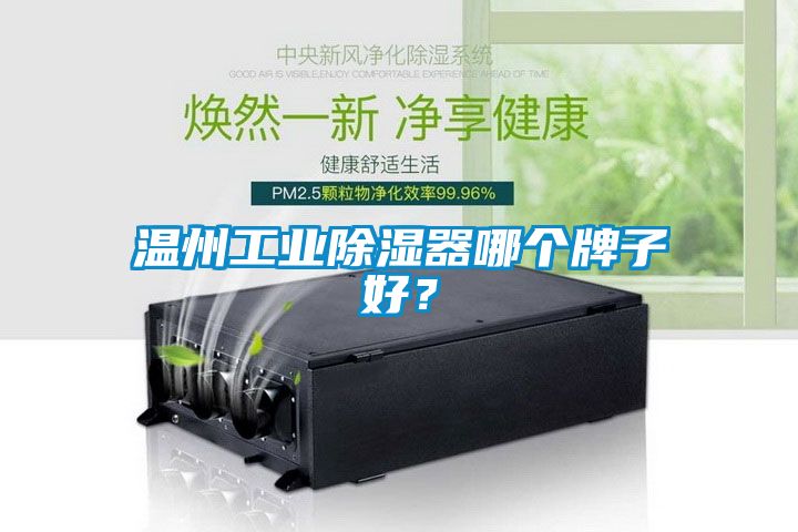 溫州工業除濕器哪個牌子好？