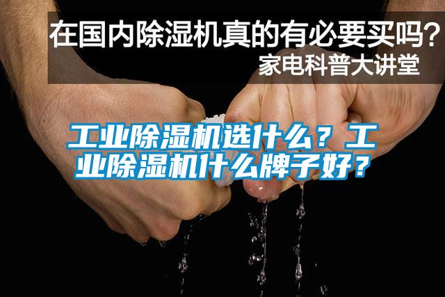 工業除濕機選什么？工業除濕機什么牌子好？
