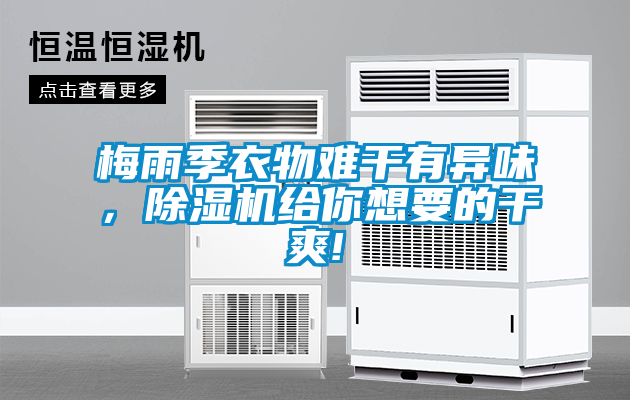 梅雨季衣物難干有異味，除濕機給你想要的干爽!