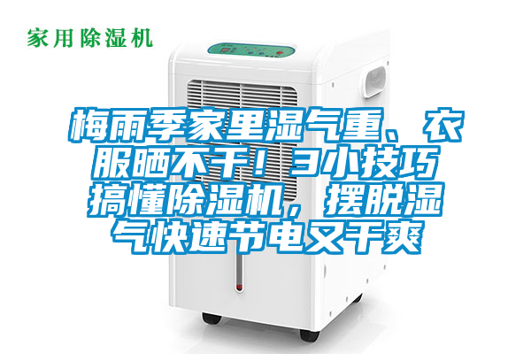 梅雨季家里濕氣重、衣服曬不干！3小技巧搞懂除濕機，擺脫濕氣快速節電又干爽