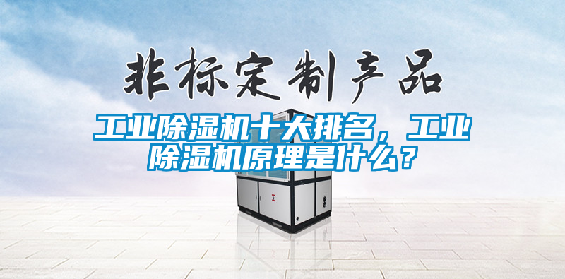 工業除濕機十大排名，工業除濕機原理是什么？