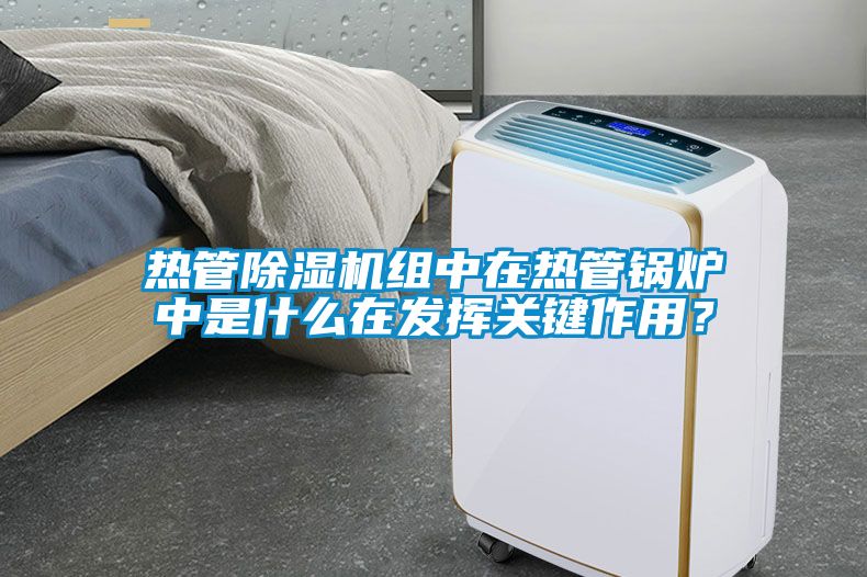 熱管除濕機組中在熱管鍋爐中是什么在發揮關鍵作用？