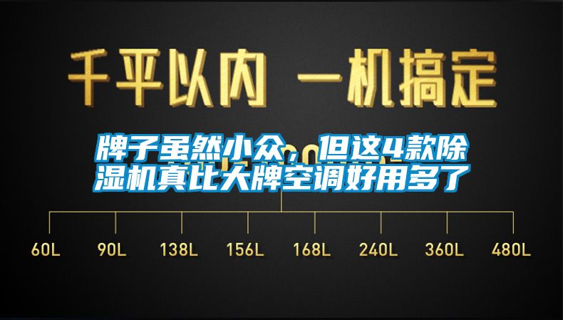 牌子雖然小眾，但這4款除濕機真比大牌空調好用多了