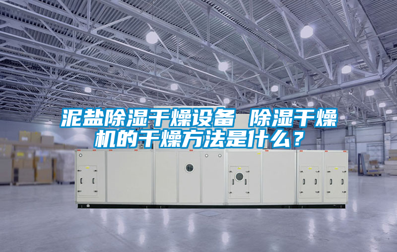 泥鹽除濕干燥設備 除濕干燥機的干燥方法是什么？