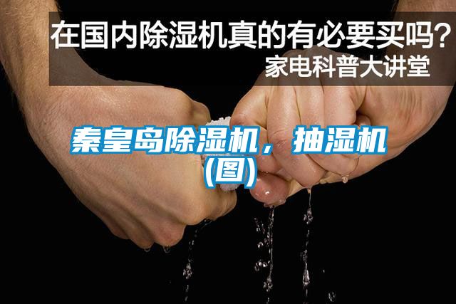 秦皇島除濕機，抽濕機(圖)