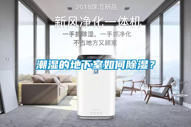 潮濕的地下室如何除濕？