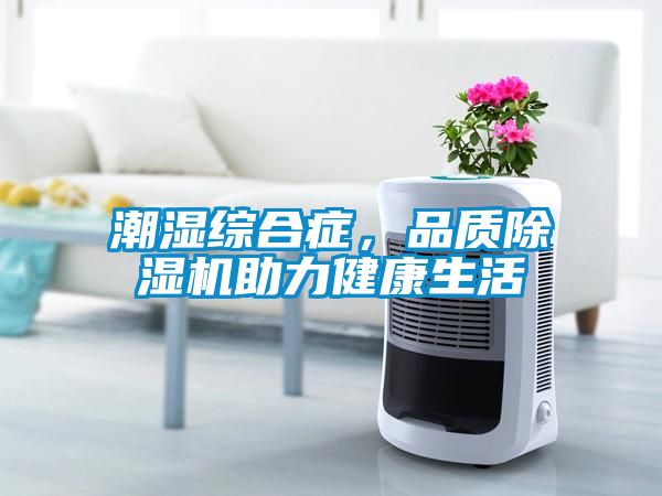 潮濕綜合癥，品質除濕機助力健康生活