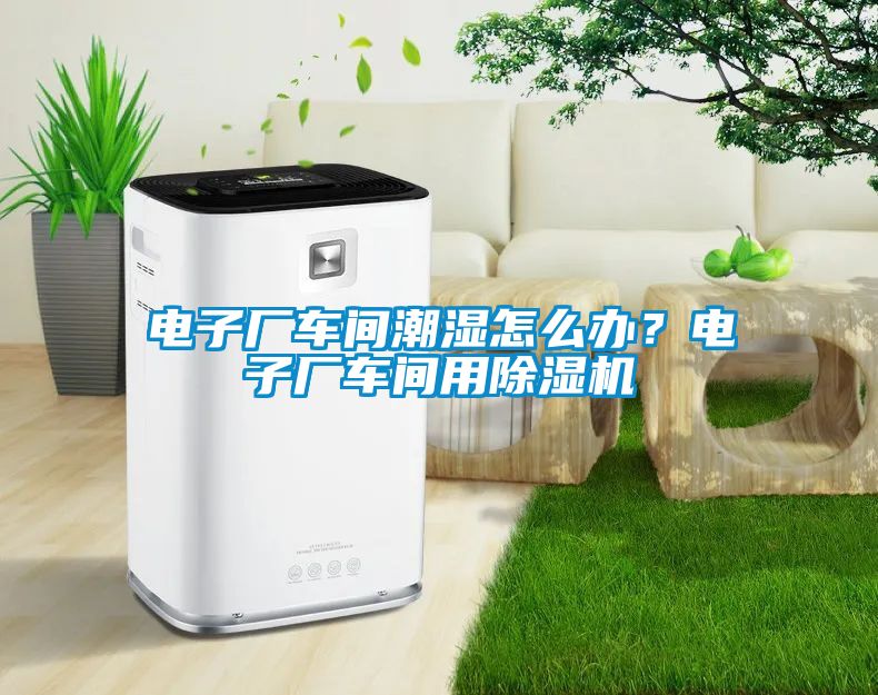 電子廠車間潮濕怎么辦？電子廠車間用除濕機
