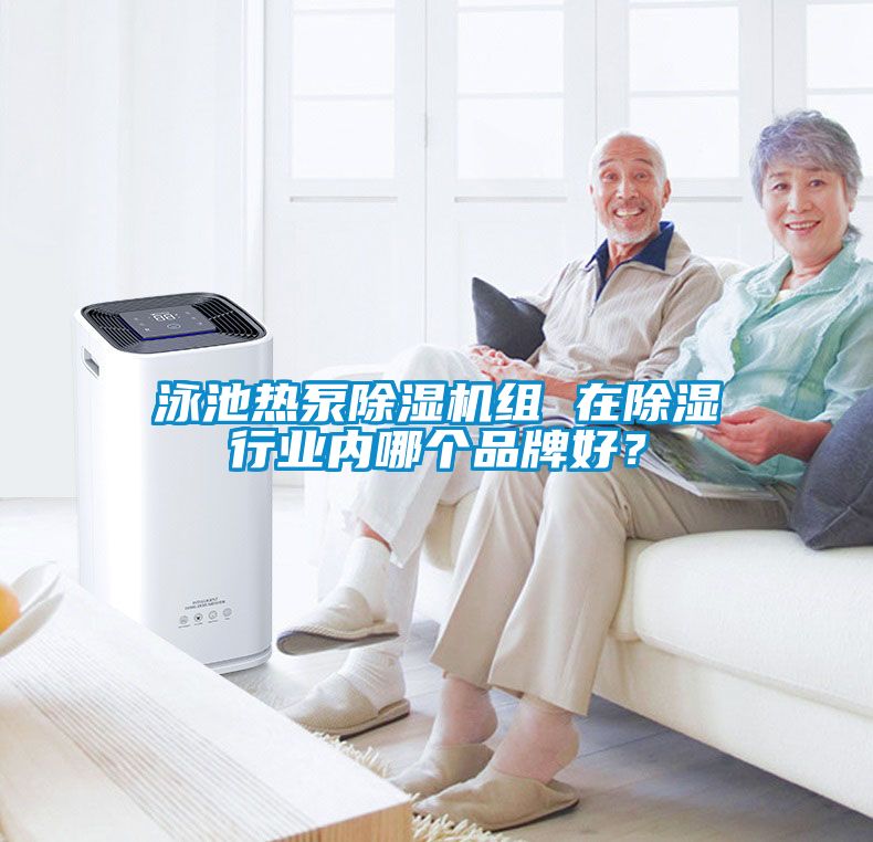 泳池熱泵除濕機組 在除濕行業內哪個品牌好？