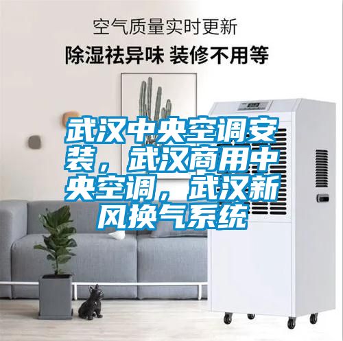 武漢中央空調安裝，武漢商用中央空調，武漢新風換氣系統