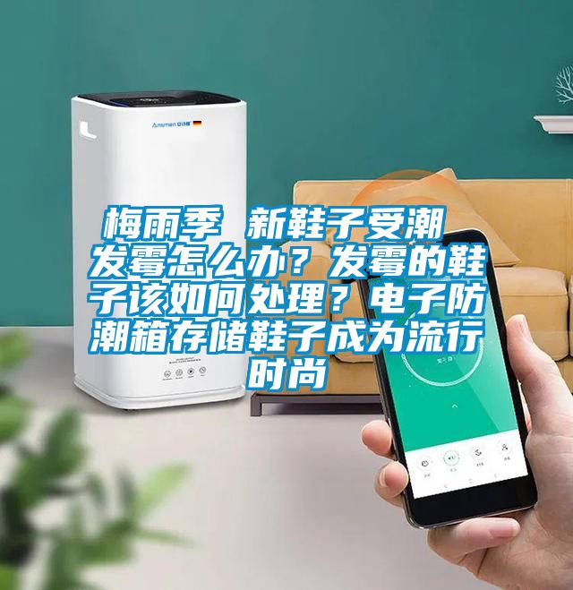 梅雨季 新鞋子受潮 發霉怎么辦？發霉的鞋子該如何處理？電子防潮箱存儲鞋子成為流行時尚