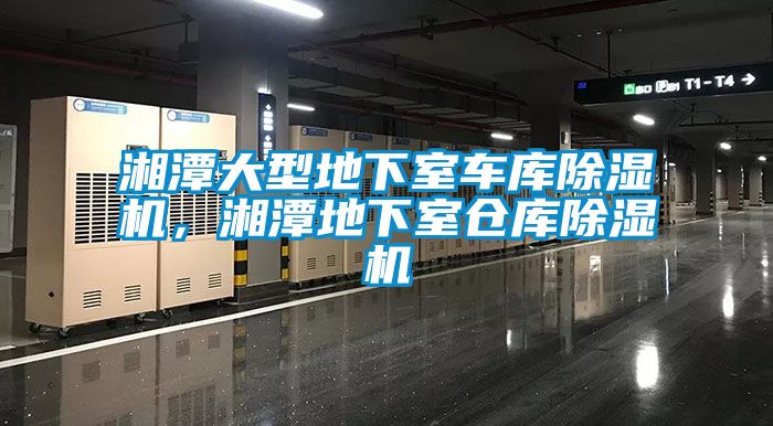 湘潭大型地下室車庫除濕機，湘潭地下室倉庫除濕機