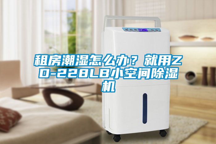 租房潮濕怎么辦？就用ZD-228LB小空間除濕機