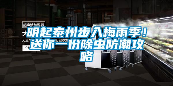明起泰州步入梅雨季！送你一份除蟲防潮攻略