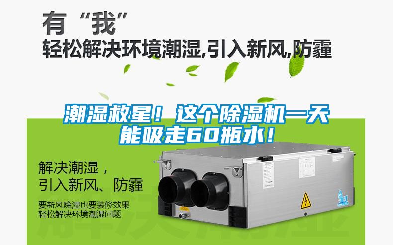 潮濕救星！這個除濕機一天能吸走60瓶水！