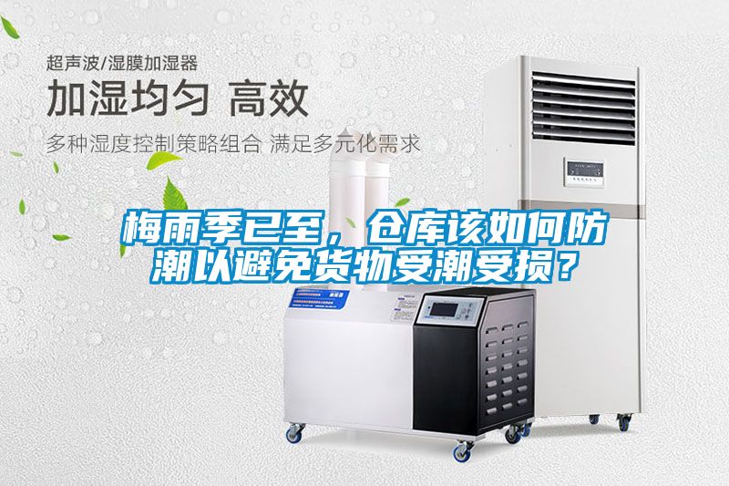 梅雨季已至，倉庫該如何防潮以避免貨物受潮受損？