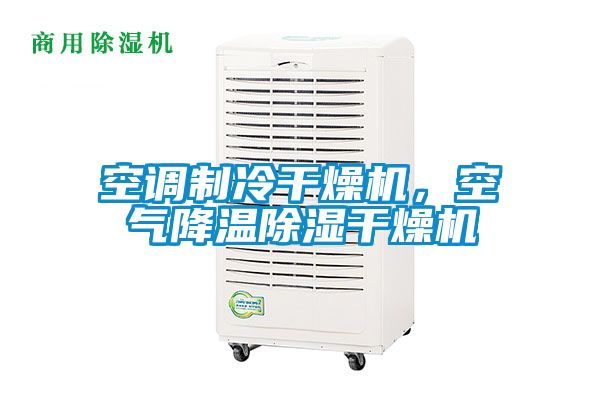 空調制冷干燥機，空氣降溫除濕干燥機
