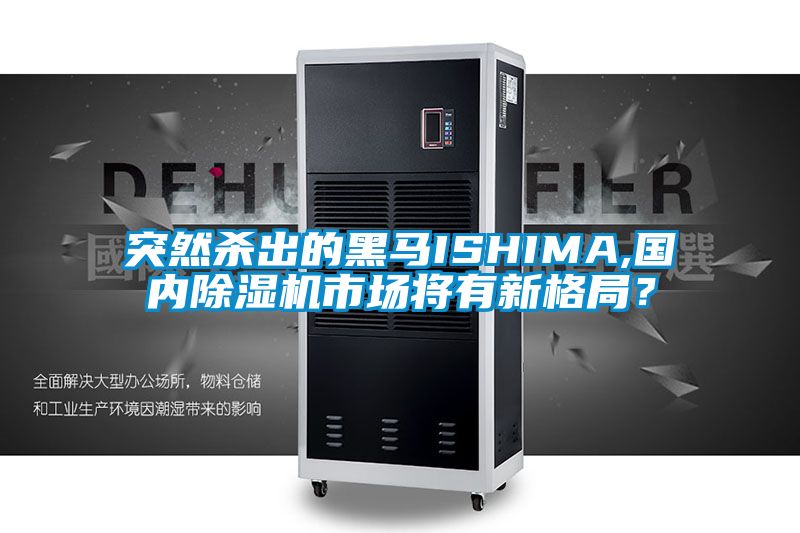 突然殺出的黑馬ISHIMA,國內除濕機市場將有新格局？