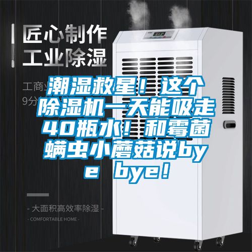 潮濕救星！這個除濕機一天能吸走40瓶水！和霉菌螨蟲小蘑菇說bye bye！