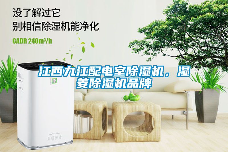 江西九江配電室除濕機，濕菱除濕機品牌