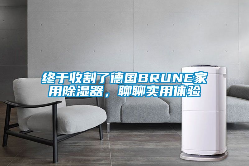 終于收割了德國BRUNE家用除濕器，聊聊實用體驗