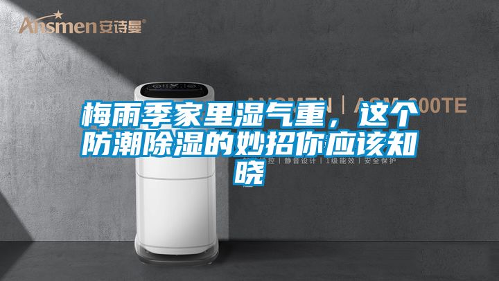 梅雨季家里濕氣重，這個防潮除濕的妙招你應該知曉