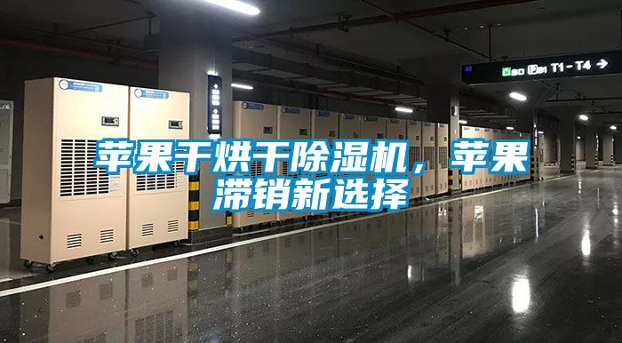 蘋果干烘干除濕機，蘋果滯銷新選擇