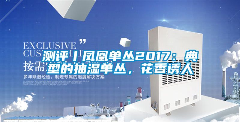 測評丨鳳凰單叢2017：典型的抽濕單叢，花香誘人