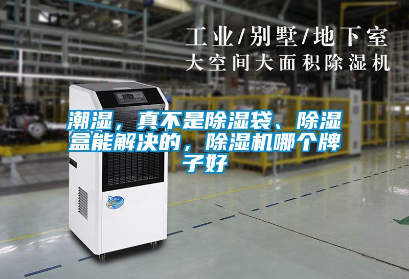 潮濕，真不是除濕袋、除濕盒能解決的，除濕機哪個牌子好
