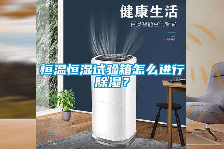 恒溫恒濕試驗箱怎么進行除濕？
