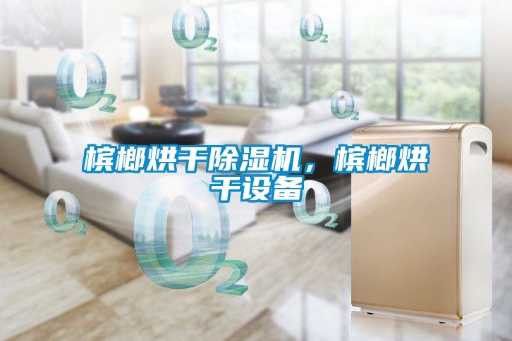 檳榔烘干除濕機，檳榔烘干設備