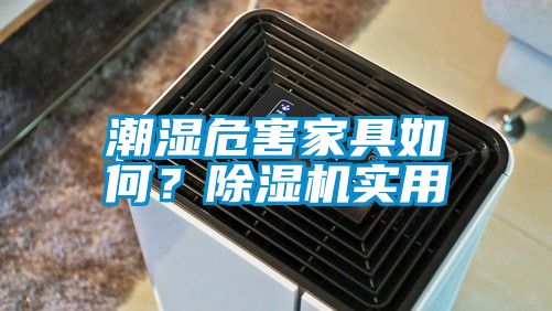 潮濕危害家具如何？除濕機實用