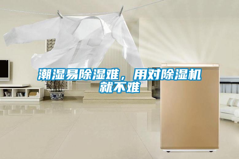 潮濕易除濕難，用對除濕機就不難
