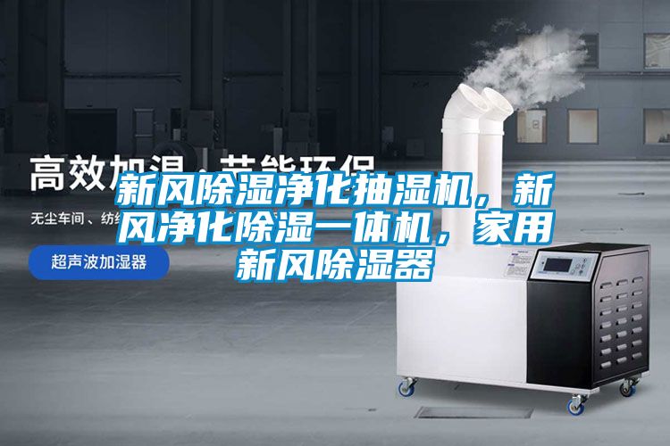 新風除濕凈化抽濕機，新風凈化除濕一體機，家用新風除濕器