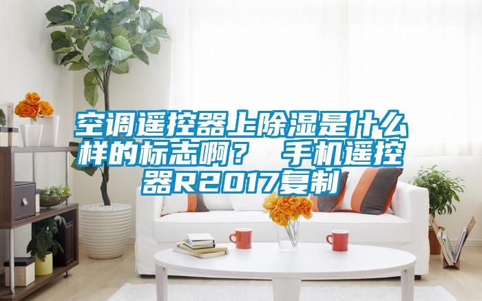 空調遙控器上除濕是什么樣的標志?。?手機遙控器R2017復制