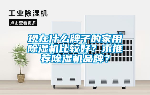 現在什么牌子的家用除濕機比較好？求推薦除濕機品牌？