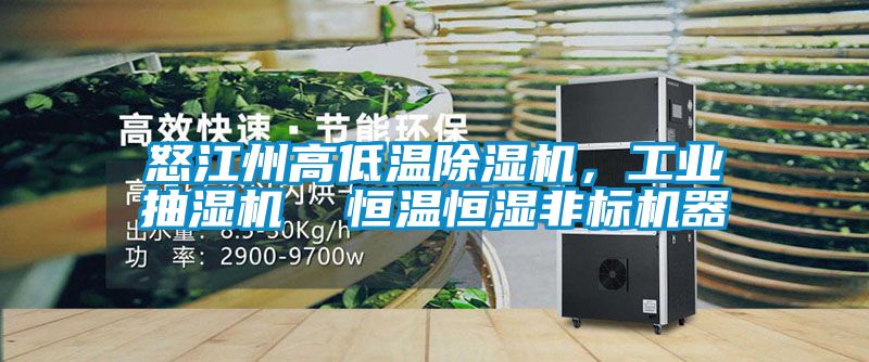 怒江州高低溫除濕機，工業抽濕機  恒溫恒濕非標機器