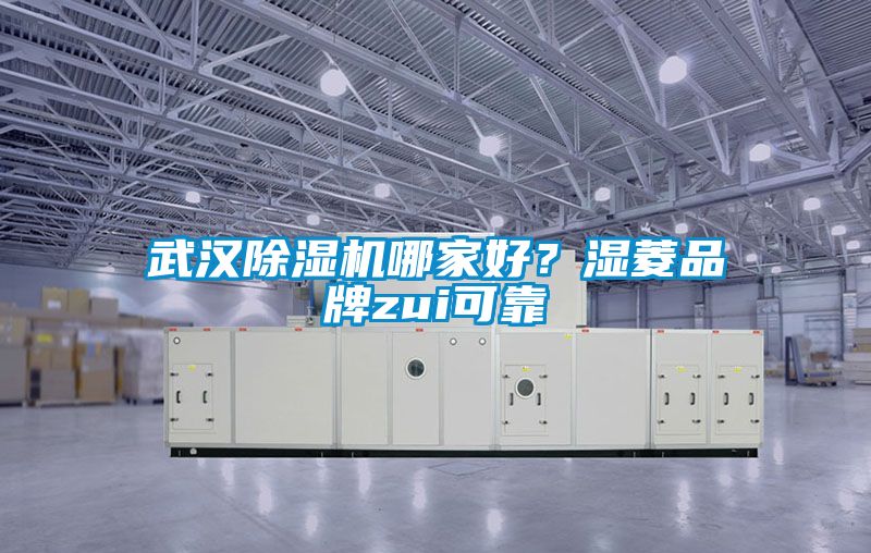 武漢除濕機哪家好？濕菱品牌zui可靠