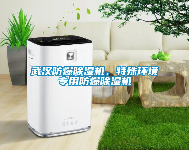 武漢防爆除濕機，特殊環境專用防爆除濕機