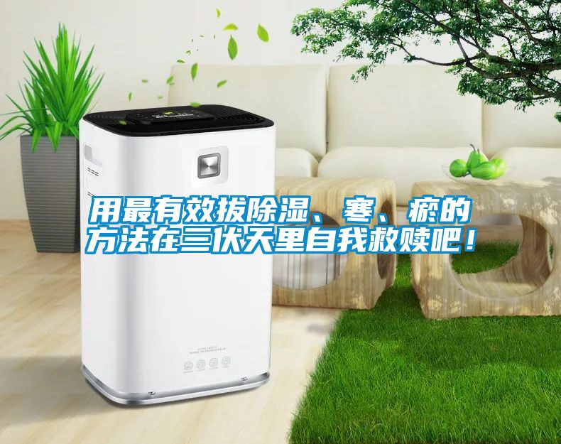 用最有效拔除濕、寒、瘀的方法在三伏天里自我救贖吧！