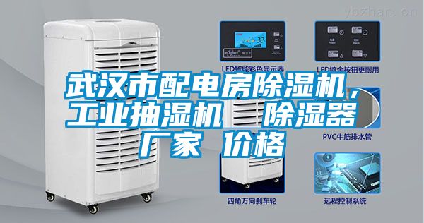 武漢市配電房除濕機，工業抽濕機  除濕器廠家 價格