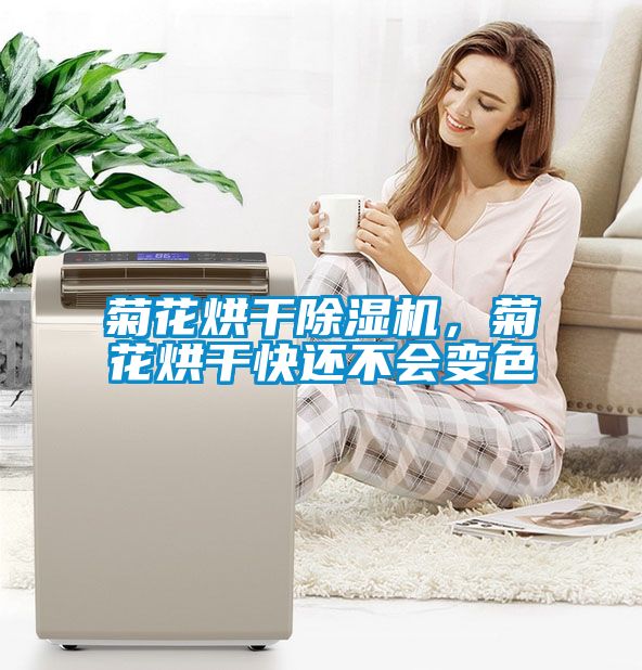 菊花烘干除濕機，菊花烘干快還不會變色
