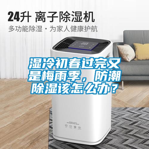 濕冷初春過完又是梅雨季，防潮除濕該怎么辦？