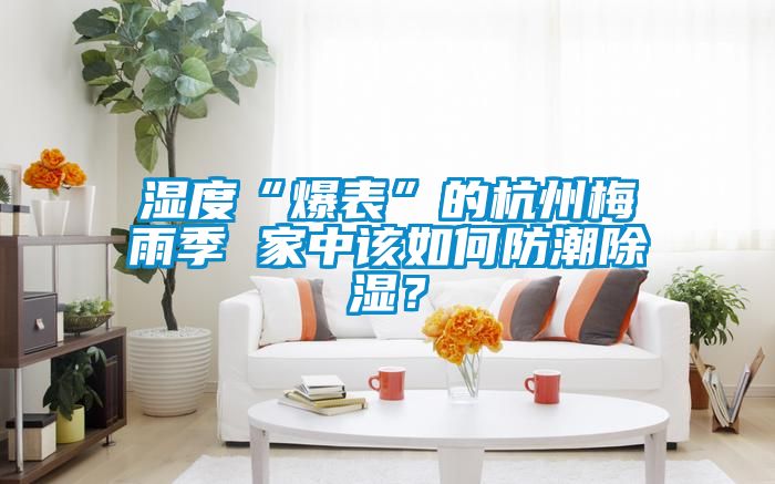 濕度“爆表”的杭州梅雨季 家中該如何防潮除濕？