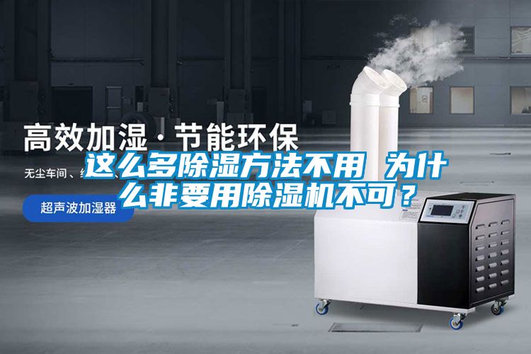 這么多除濕方法不用 為什么非要用除濕機不可？