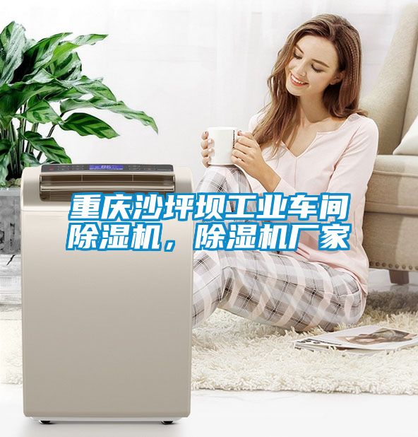 重慶沙坪壩工業車間除濕機，除濕機廠家
