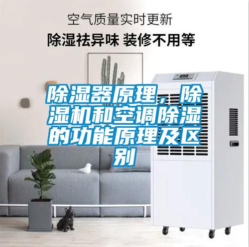 除濕器原理，除濕機和空調除濕的功能原理及區別