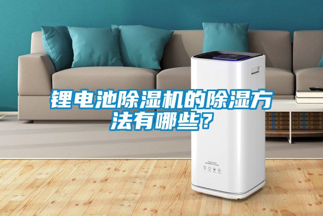 鋰電池除濕機的除濕方法有哪些？