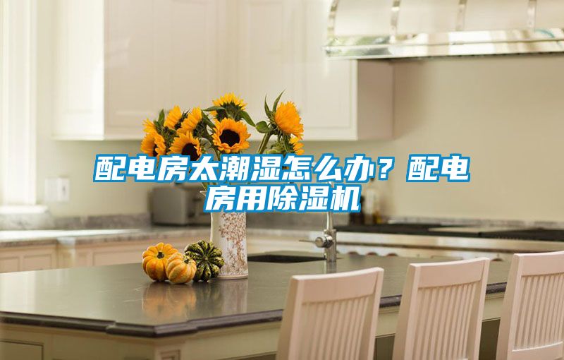 配電房太潮濕怎么辦？配電房用除濕機